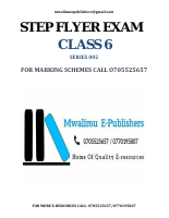 STEPFLYER STD 6 SERIES 1.pdf